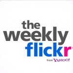 The Weekly Flickr logo from screenshot The Weekly Flickr logo from screenshot