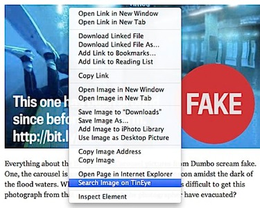 Using TinEye browser plugin to search for a photo