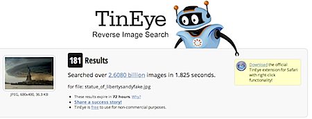 TinEye image search